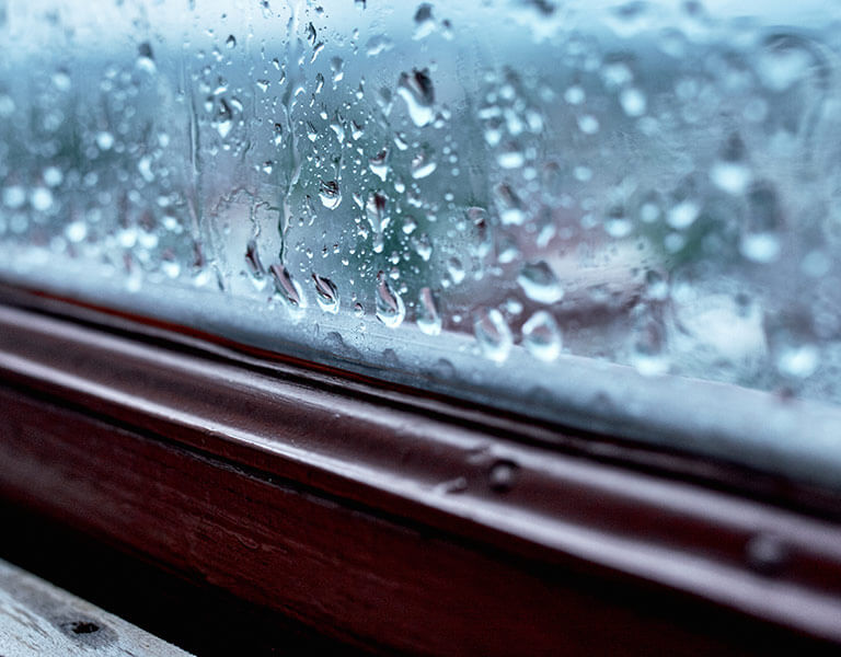 How to Maintain Ideal Indoor Humidity Levels for Your Elderly